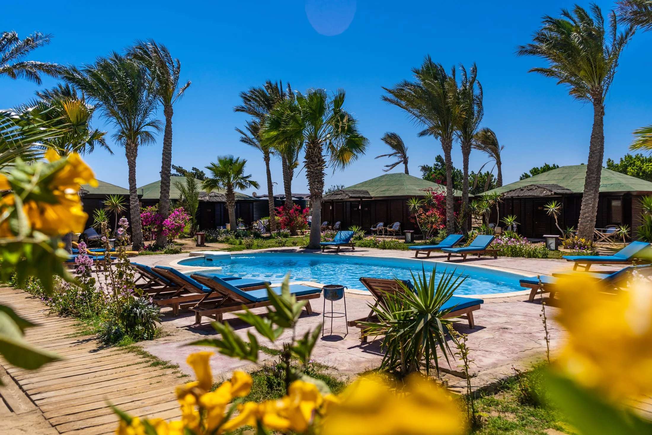 Abu Dabbab Diving Lodge — photo 22